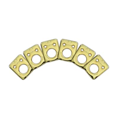 Graph Tech Ratio InvisoMatch Plates Fender Style 2 Pin Hole - Gold (6 set) image 1