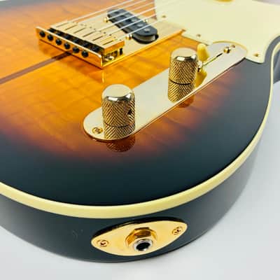 Fender Custom Shop Merle Haggard “Tuff Dog” — The Bottle Let Me Down. 2017. image 2