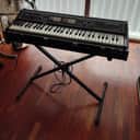 Roland RS-202 61-Key String Synthesizer 1976 - 1979 - Black