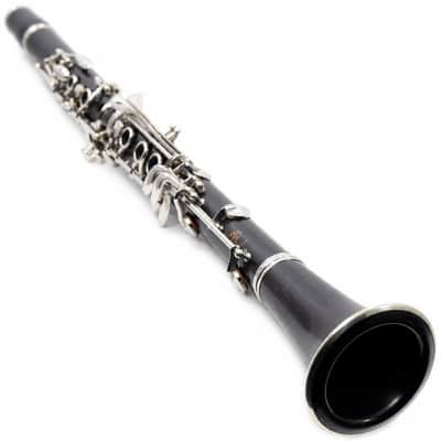 Buffet Crampon R13 Professional Bb Clarinet in Grenadilla SN 414280 image 18