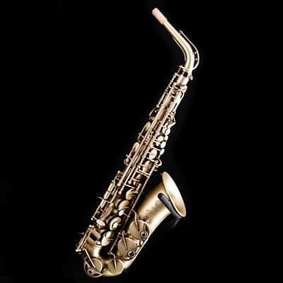 Selmer Paris 82SIGF Professional Alto Saxophone, Vintage Matte image 1