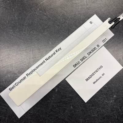 Fatar Replacement B Key (Siel & Crumar Synths) for Siel DK-600, Opera 6, DK-700, DK-80; Crumar Bit One, Bit 99