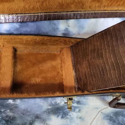 Vintage 1977 D'Andrea Z Explorer Alligator Look Soft Shell Guitar Case Warranty Card Candy image 11