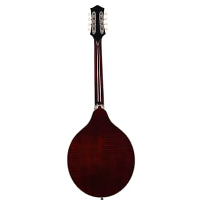 Bourgeois M50-BT Octave Mandolin Aged Tone Adirondack Spruce/European Curly Maple Black (Serial #M2606121) image 5