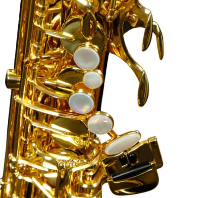 Selmer USA Advanced Alto Saxophone - Copper - SAS511C image 11