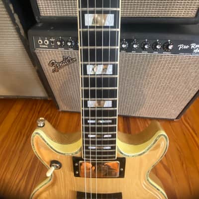 1978 Ibanez 2617 Artist image 12