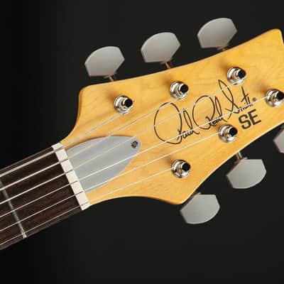 Immagine PRS SE John Mayer Silver Sky in Moon White with Gig Bag - 8
