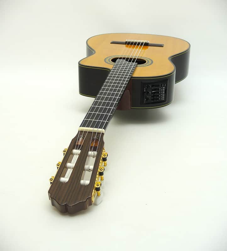 Takamine TH90 Hirade image 1