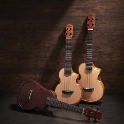 Ibanez AUT10-OPN AU Tenor Ukulele - Open Pore Natural + Gig Bag image 11