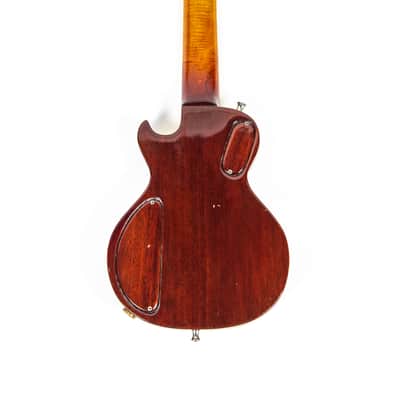Petschulat Custom Baby Les Paul Owned by Nancy Wilson of Heart image 4