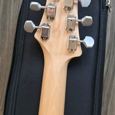 PRS Silver Sky Limited Edition 2021 - Present - Lunar Ice image 7