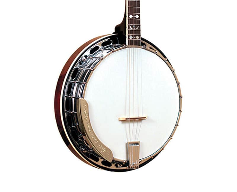 Gold Tone TS-250 Professional 4-String Tenor Banjo