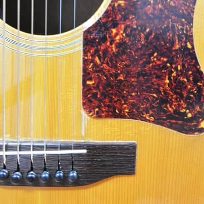 1976 Gibson J-55 American Made Acoustic Electric image 5