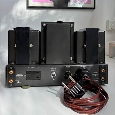 Leak ST 20 image 3