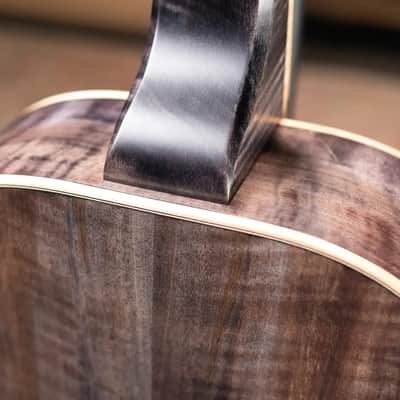 Beard Legacy-E HipShot DoubleShot Square Neck Resonator Guitar - Black Ice 2-Tone Custom Horse Chestnut with Hardshell Case image 8
