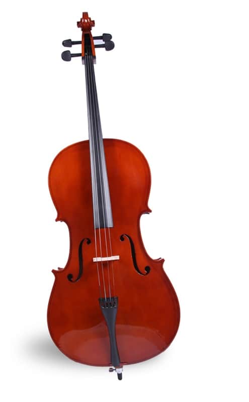 Calypso MC-760R Cello image 1