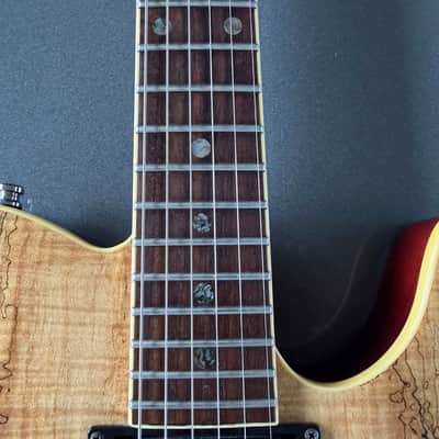 Fender Special Edition Custom Telecaster Spalted Maple HH 2008 - 2011 - Spalted Maple image 5
