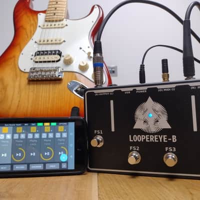 LOOPEREYE-B, The Smart Looper image 2