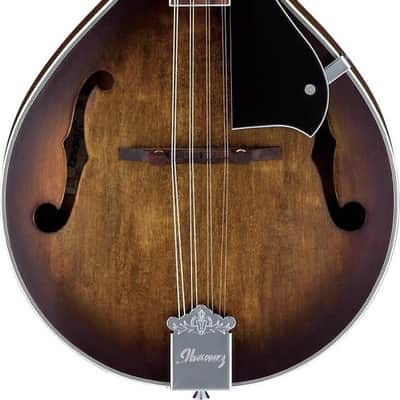 Ibanez M510 A-Style Mandolin, Spruce Top, Open Pore Vintage Sunburst image 2
