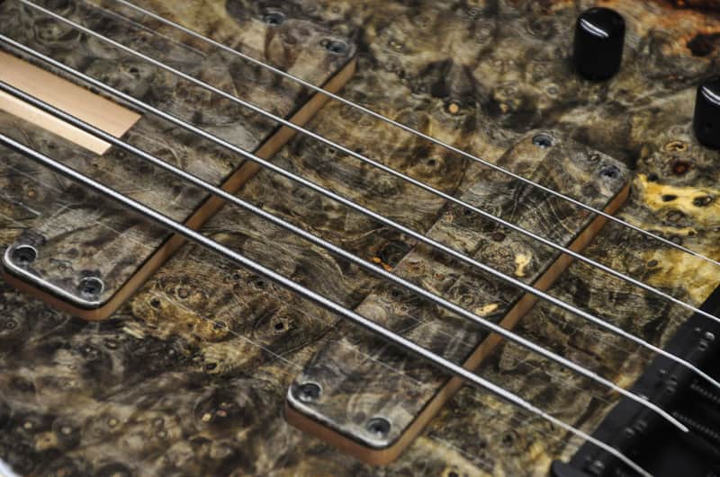 F Bass BN5 - Buckeye Burl | Reverb