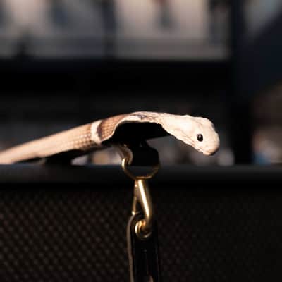 SAVAGE GUITAR STRAPS FULL TAXIDERMY COBRA image 3