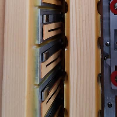 Accordion Harmonika Zupan Alpe IV 96 Bass with Cagnoni reeds image 12