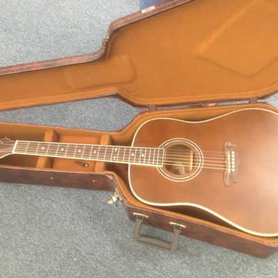 New Washburn Vintage Series WSJ124K Acoustic Guitar with Hard Shell Case image 9