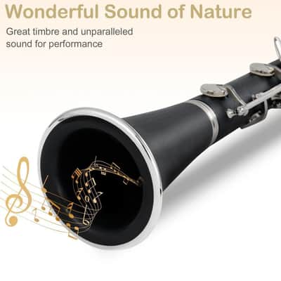 Bb Soprano Clarinet – Black Bakelite Body, Nickel-Plated Keys | 17-Key School Clarinet with Case image 4