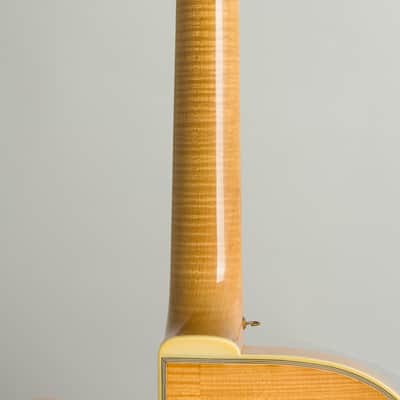 D'Angelico Excel Cutaway Arch Top Acoustic Guitar (1960), ser. #2117, original brown hard shell case. image 9
