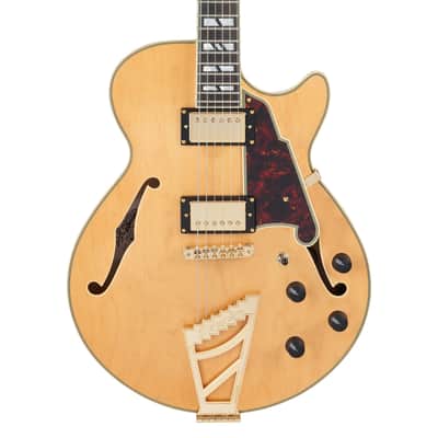D'Angelico DADSSSHNGT DELUXE SS Single Cutaway Semi-Hollow Body 6-String Electric Guitar w/Deluxe Hardshell Case image 3