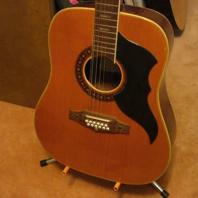 EKO Ranger 12-String Vintage Acoustic Guitar Made in Italy with Chip Case image 1