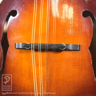 NAO MANDOLIN  <MIJ>F-5 Style 1990s[Pre-Owned] image 11