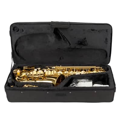 Eb Alto Saxophone Outfit Gold Lacquered Brass w/ Hard Case, Mouthpiece, Reed & Gloves image 8