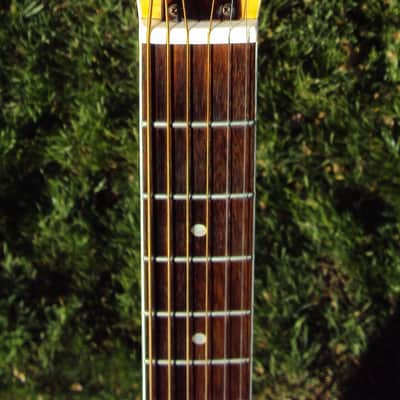 Extremely Rare Vintage Ventura V-29  Maple Acoustic Guitar Made in Japan MIJ Matsumoku Nice! image 5