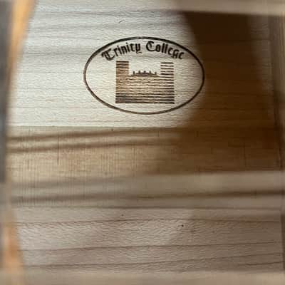Trinity College TM-325 Mandolin image 21