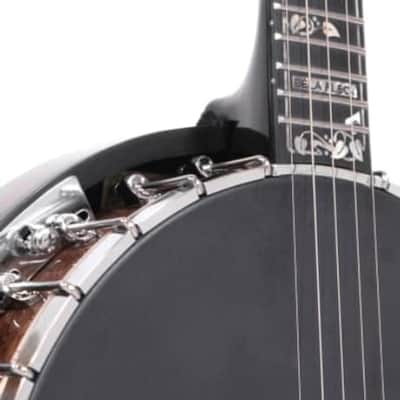 Gold Tone ML-1 Missing Link Bela Fleck Baritone Banjo w/ Case image 6