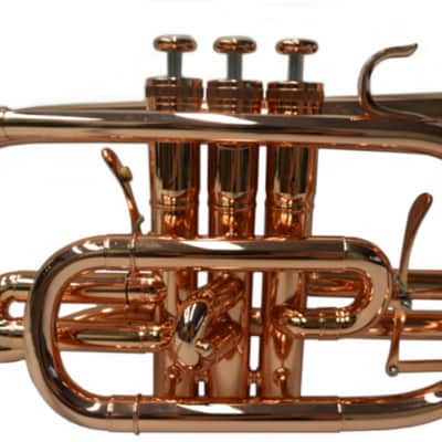 Schiller Shepherds Crook Pro Cornet w/Trigger image 3