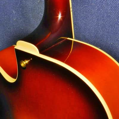 D'Angelico NYL6 Vestax Special 2002-2005 Sunburst image 10
