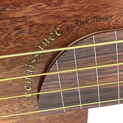 Immagine Rick Turner Renaissance RB4 Studio Special Fretless Bass 2016 Satin Mahogany - 9