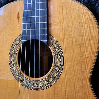 Tama TC10 1978 - Cashew varnish image 12