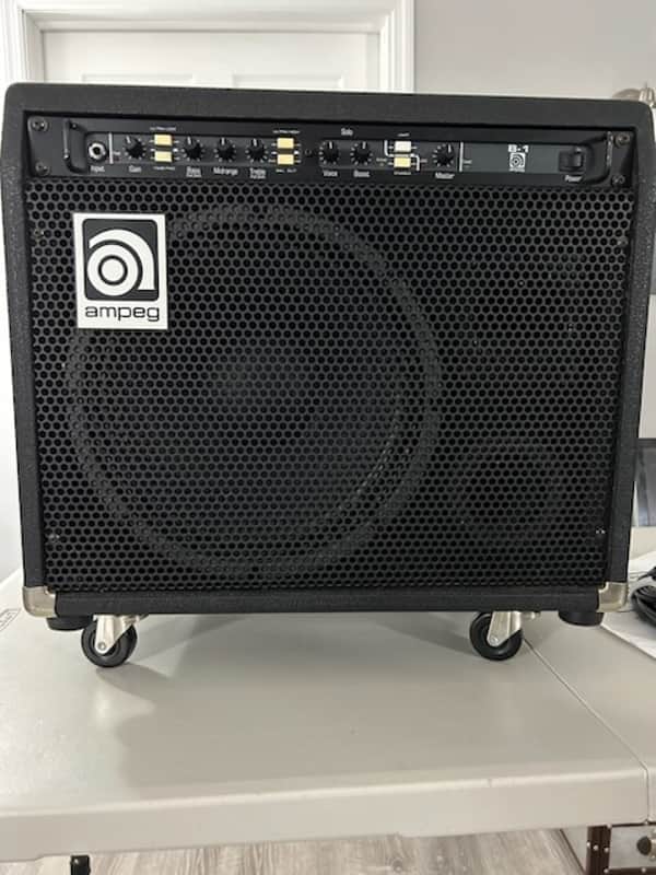 Ampeg B-1 Combo – Rare and Elusive | Reverb