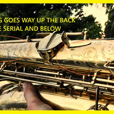 MAKE OFFER DUBBED "PAN AND PERKS" LYON AND HEALY TENOR SAXOPHONE ULTRA RARE BURNISHED GOLD PLATED ARTIST MULTI PORTRAITS TOP FINISH #6 SPECIAL ORDERED ORIGINAL MPC image 9