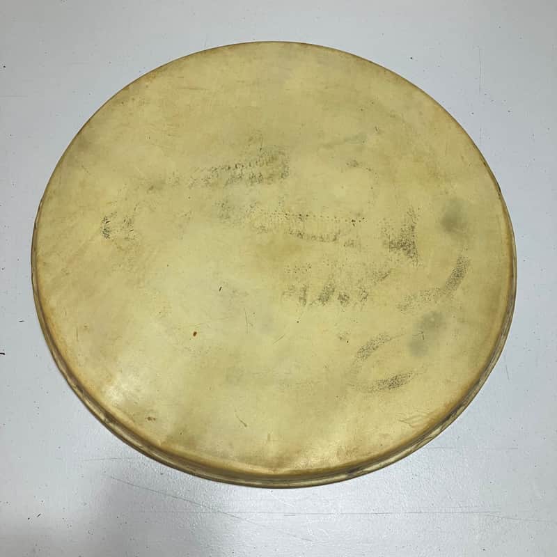 WFL 20” calf skin bass drum resonant head 1950’s - Calf skin image 1