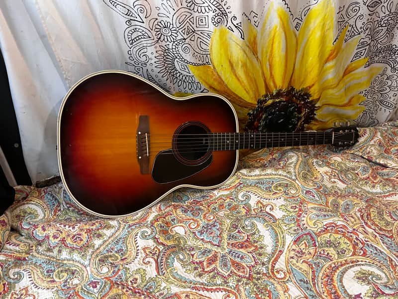 Applause AA14 Aluminum Neck Acoustic Guitar image 1