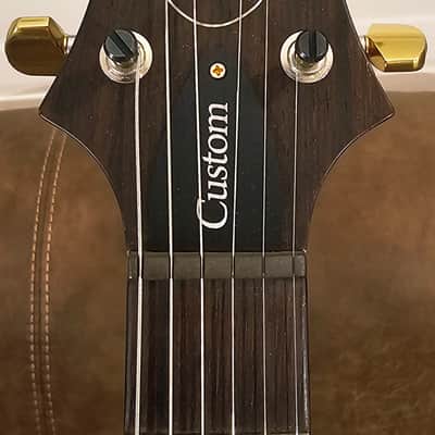 PRS (Mint) Custom 24 Artist Package 🎨 2013 - Aqua Verde Fog image 17