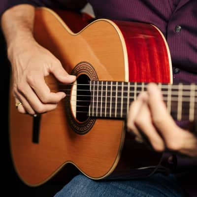 Ortega R200SN Traditional Series Cedar Top Mahogany Neck Nylon 6-String Classical Acoustic Guitar w/Gig Bag image 16