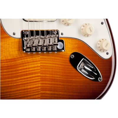 Fender Select Stratocaster Tobacco Sunburst image 6