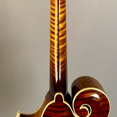 Northfield NFB-F5EWN 'Big Mon' Wide Nut - Sunburst 2022 image 18