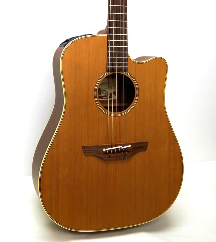 Takamine EAN10C Pro Series Dreadnought Cutaway Acoustic-Electric
