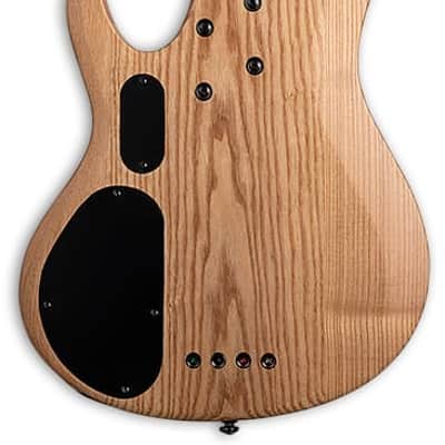 ESP LTD B-204SM FRETLESS Natural Satin image 2